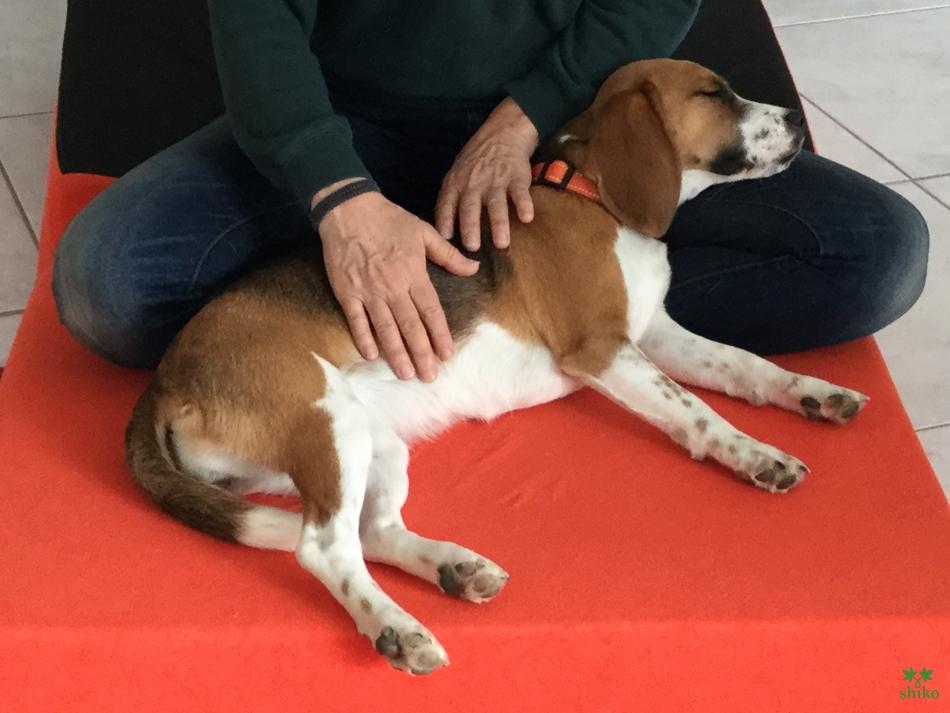 Natürlich Spirituelles Heilen_03