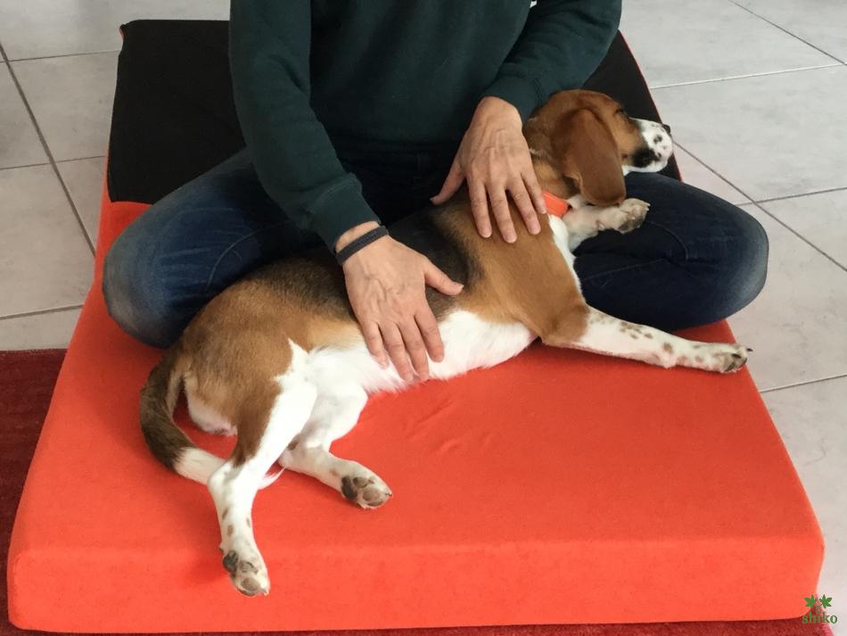 Natürlich Spirituelles Heilen_07