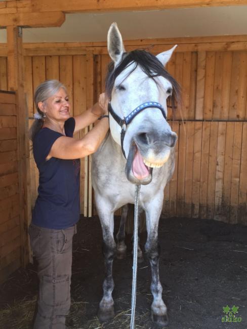 Natürlich Spirituelles Heilen_08