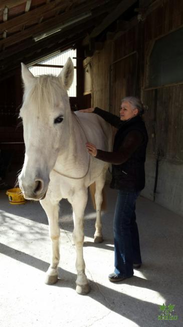 Natürlich Spirituelles Heilen_10