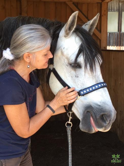 Natürlich Spirituelles Heilen_11