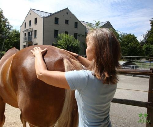 Shiatsu_Techniken_01