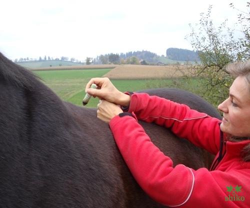 Shiatsu_Techniken_03