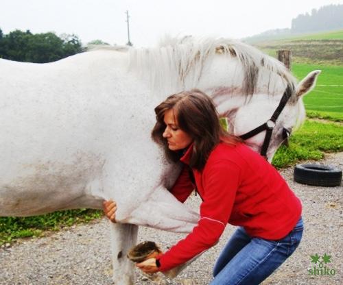 Shiatsu_Techniken_05