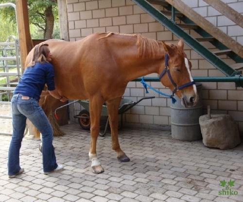 Shiatsu_Techniken_07