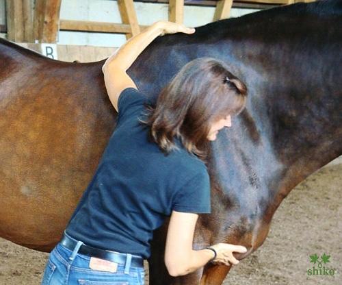 Shiatsu_Techniken_08