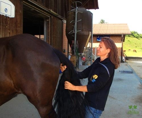 Shiatsu_Techniken_09