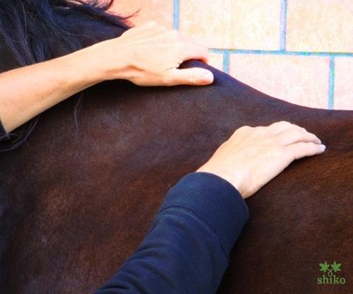 Shiatsu_Techniken_10