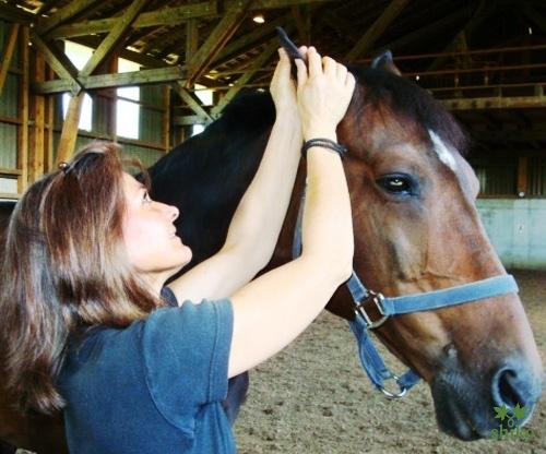 Shiatsu_Techniken_13