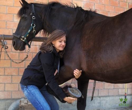 Shiatsu_Techniken_16