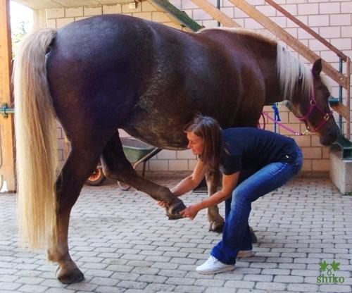 Shiatsu_Techniken_17