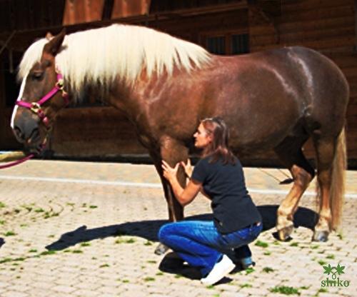 Shiatsu_Techniken_18