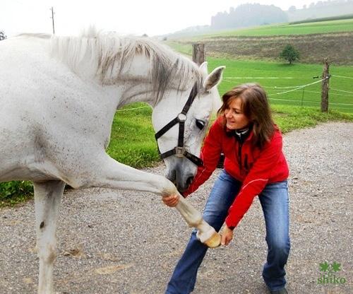 Shiatsu_Techniken_21