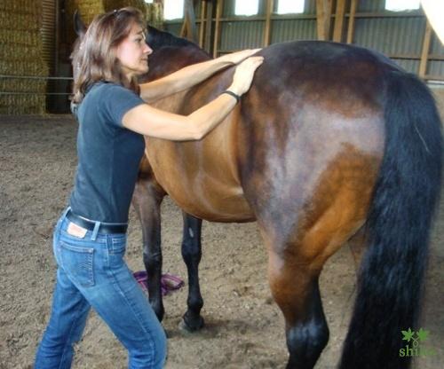 Shiatsu_Techniken_22