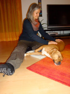 natuerlich_tierheilen